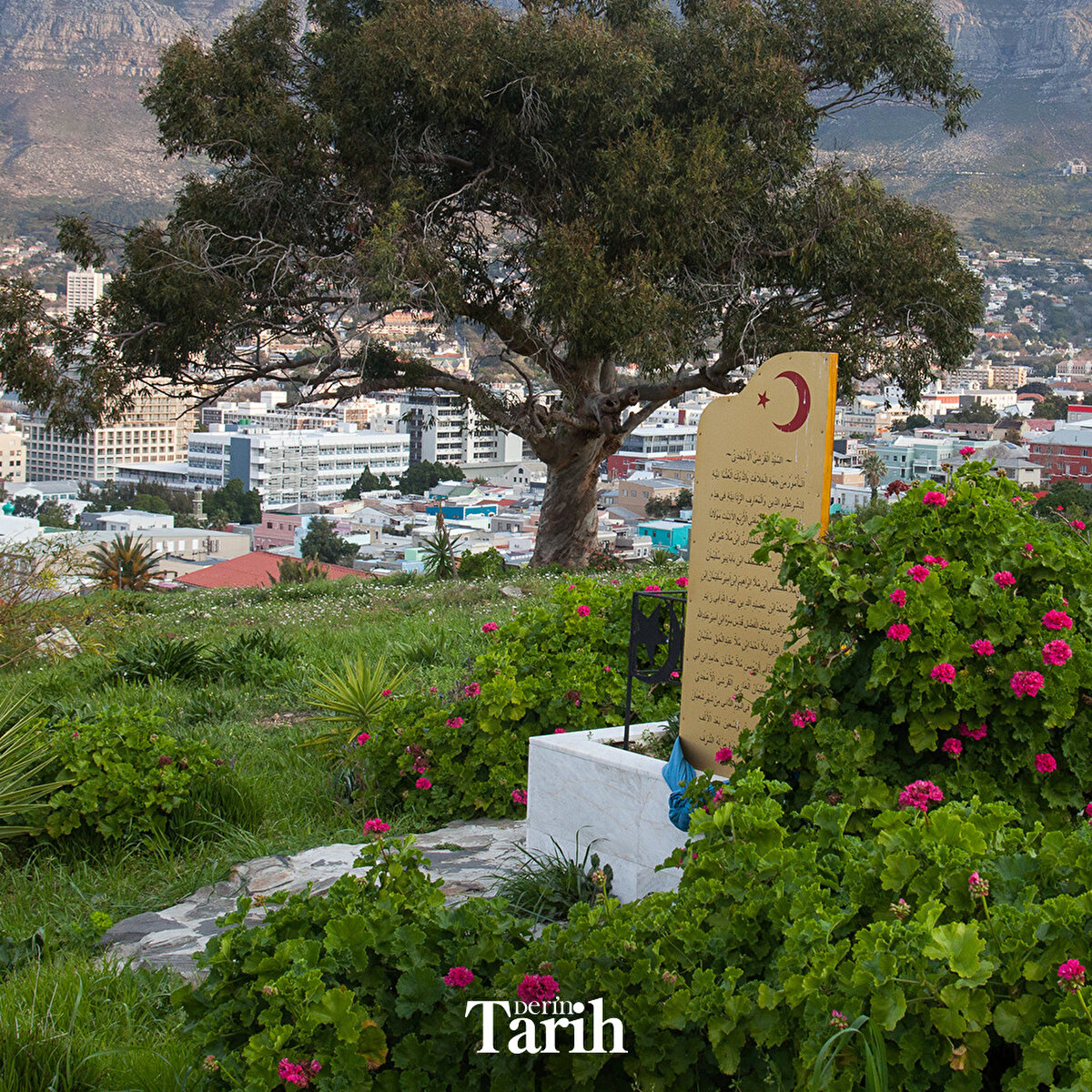 Güney Afrika'da Bir Osmanlı Âlimi: Seyid Ebubekir Efendi (1814-1880)