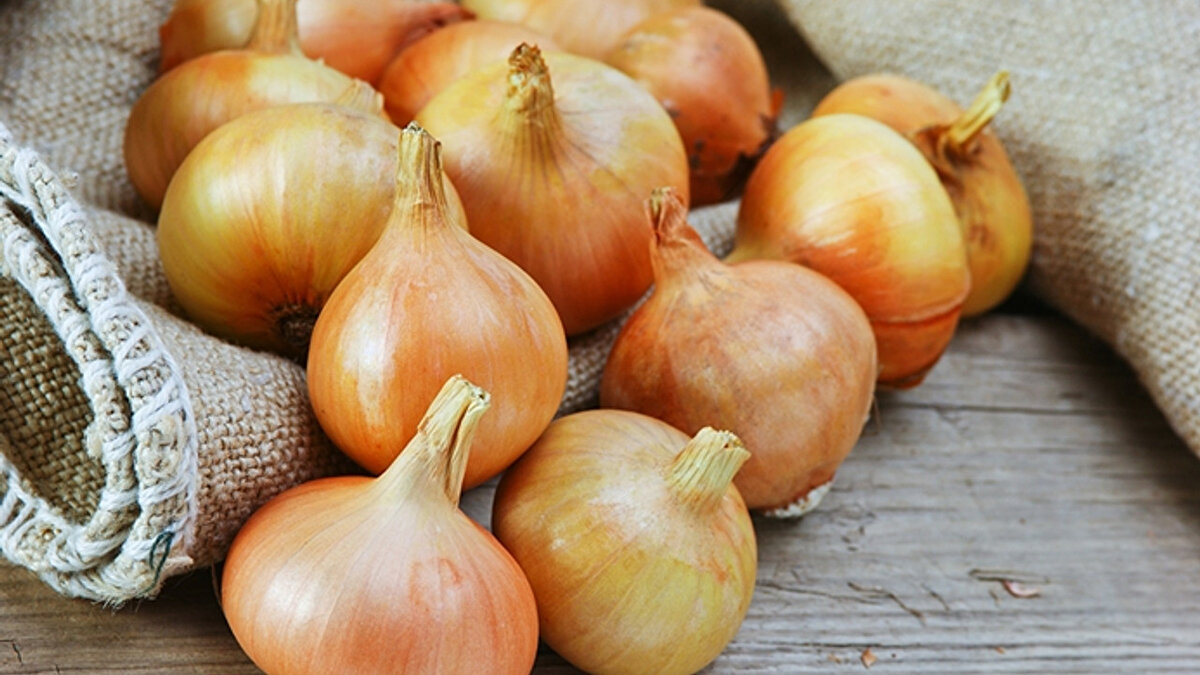 Tip 2 diyabetli kişilerde pankreaslarından kan şekerini düzenlemek için yeterli insülin üretemedikleri ve bunun sonucunda kan şekerlerinin tehlikeli derecede yüksek seviyelere ulaşabileceği anlamına geliyor.<br><br>