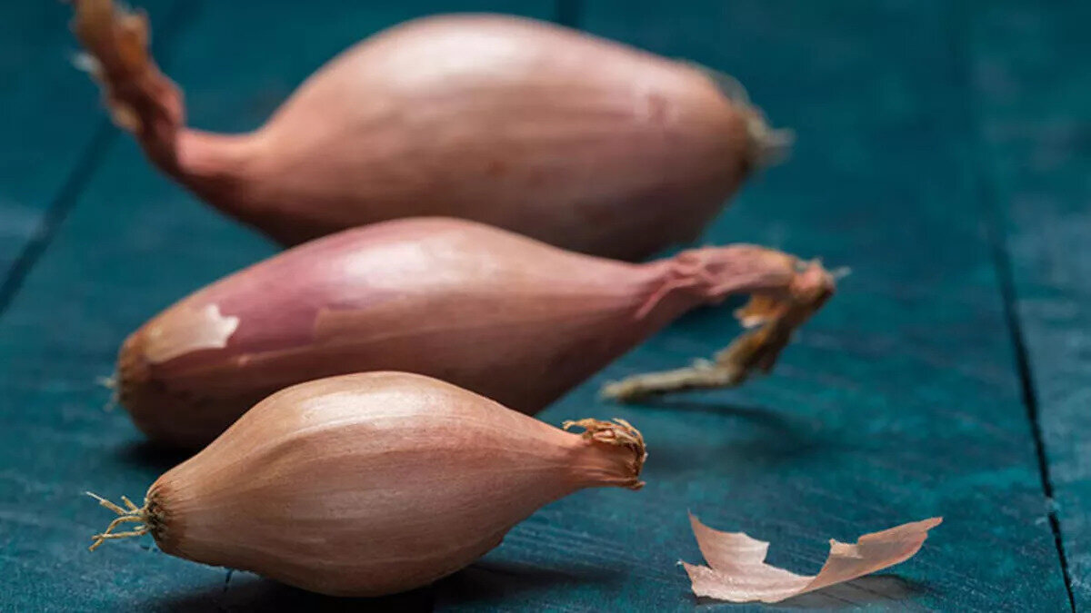 Araştırmanın başındaki bilim insanı Nijerya, Abraka'daki Delta Eyalet Üniversitesi'nden baş araştırma yazarı Anthony Ojieh, “Soğan ucuz ve kolay bulunabilir besin takviyesi olarak kullanılıyor. <br>