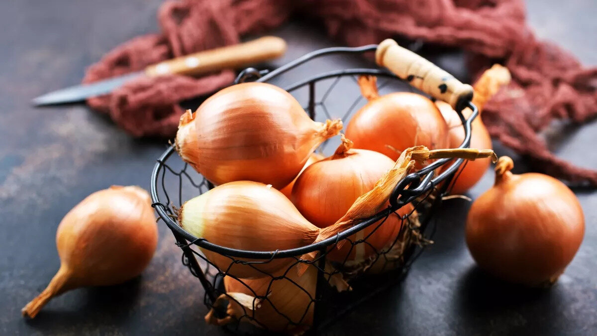 Araştırmacılar ayrıca ilacı ve soğanı, normal kan şekerine sahip diyabetik olmayan üç grup fare de verirken aradaki farkın sonunda, diyabetli grubun yüzde 35 ila 50 arasında kan şekerlerinin azaldığını tespit etti.<br>