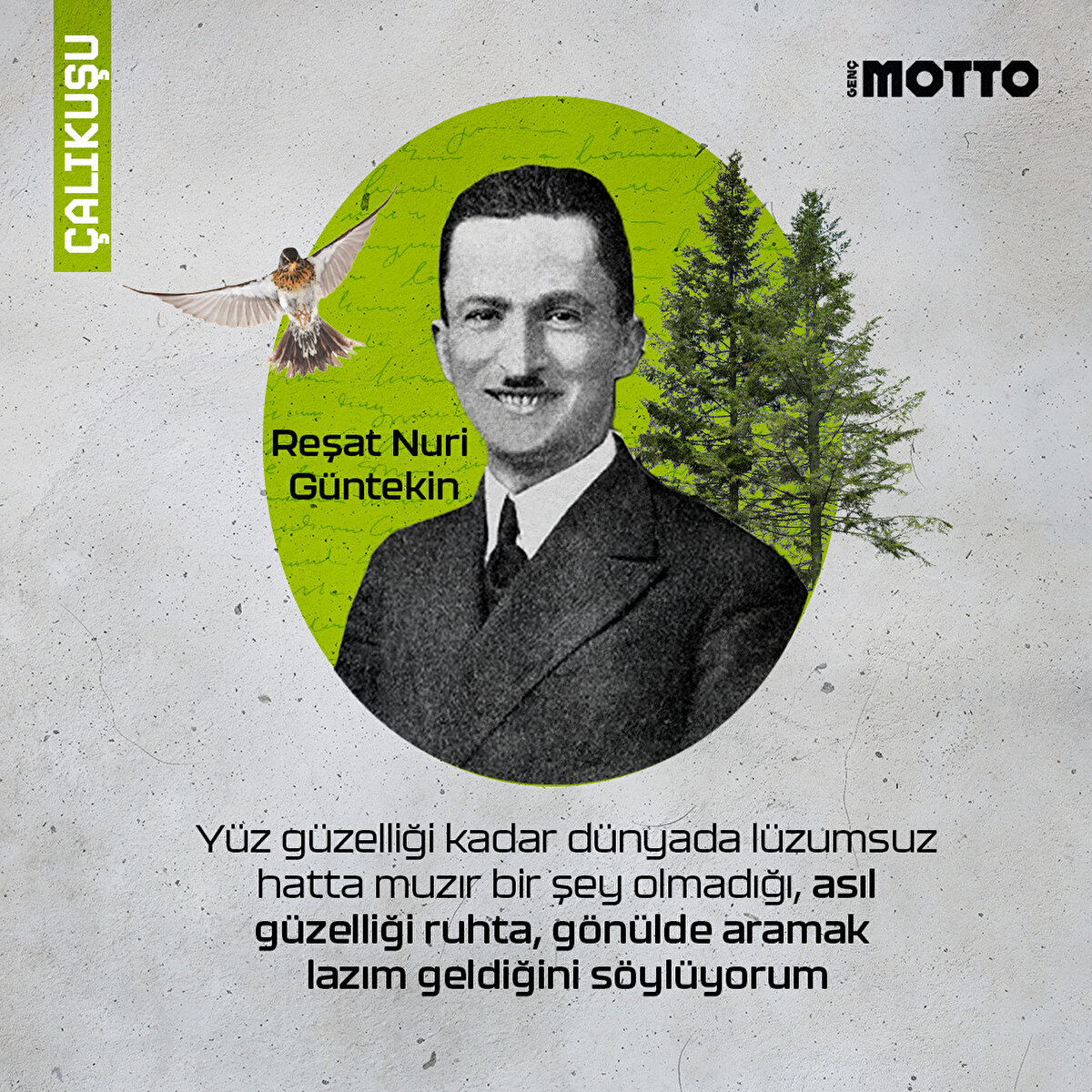Yüz güzelliği kadar dünyada lüzumsuz hatta muzır bir şey olmadığı, asıl güzelliği ruhta, gönülde aramak lazım geldiğini söylüyorum.
Çalıkuşu, Reşat Nuri Güntekin