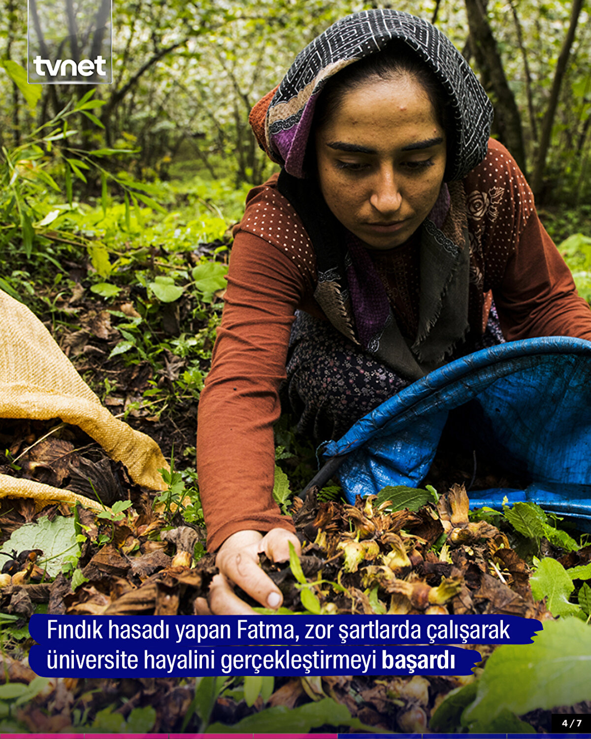 Fındık hasadı yapan Fatma, zor şartlarda çalışarak üniversite hayalini gerçekleştirmeyi başardı