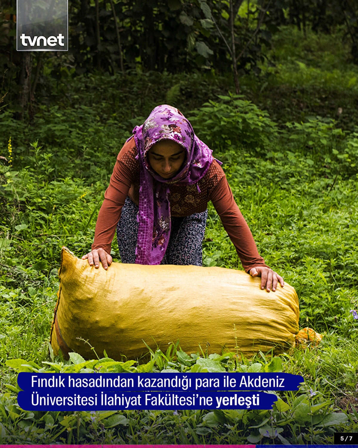 Fındık hasadından kazandığı para ile Akdeniz Üniversitesi İlahiyat Fakültesi’ne yerleşti