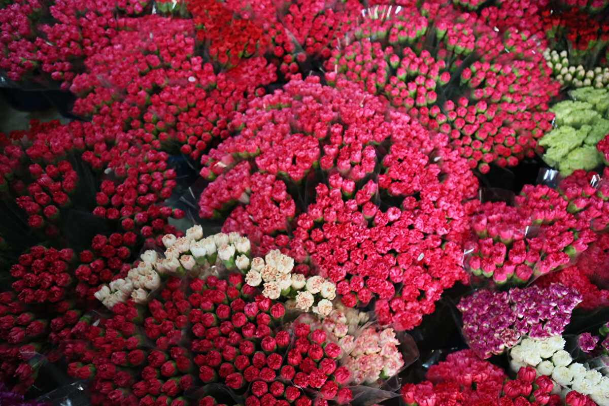 Çelebi, "Ülkede gerçekleşecek olan ulusal yas ve cenaze programının 10 gün süreceği belirtiliyor. Ancak içinde bulunduğumuz dönem Antalya'da kesme çiçek üretimi yok, Isparta'da yayla üretiminin de azaldığı bir dönem geldi" dedi.