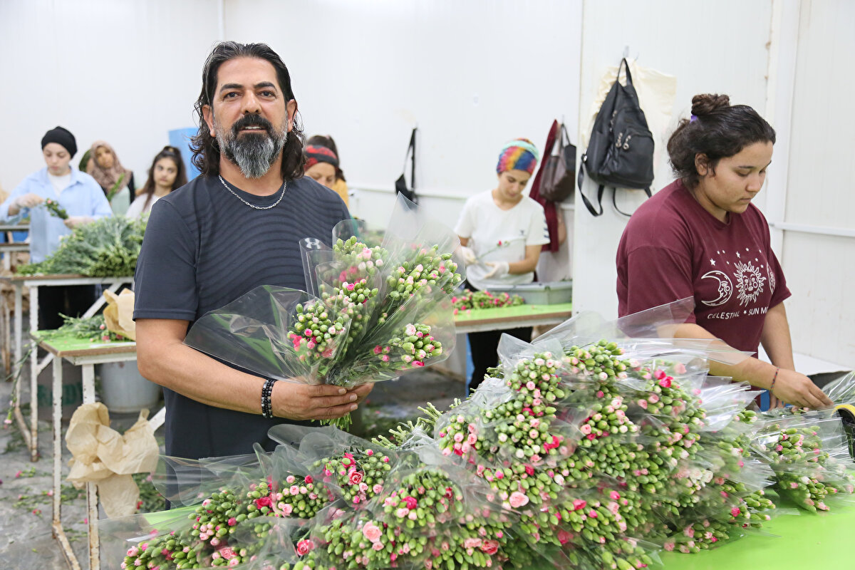 'HER RENKTEKİ KARANFİLİ GÖNDERİYORUZ' <br>Kraliçe Elizabeth'in ölümüyle kesme çiçek siparişlerinde yüzde 80-90'lık bir artış olduğunu ifade eden Çelebi, "Ancak bu dönem üretim boşluğumuzdan dolayı bu sipariş artışının yüzde 40-50'sini karşılamaya çalışıyoruz. Şu anda üretimi olan tür ise karanfil, her renkteki karanfili de gönderiyoruz. 10 günlük program dışında yaklaşık 1 ay boyunca bu hareketliliğin de sürmesini bekliyoruz" dedi.Antalya ve Isparta'daki kesme çiçek üreticilerinin İngiltere'ye direkt ihracatının yanı sıra Hollanda'ya da ciddi miktarda çiçek gönderdiklerini kaydeden Çelebi, bu kapsamda Hollanda'daki müşterilerinin de cenazeden dolayı ellerindeki Türk çiçeklerini İngiltere'ye gönderdiklerini söyledi.