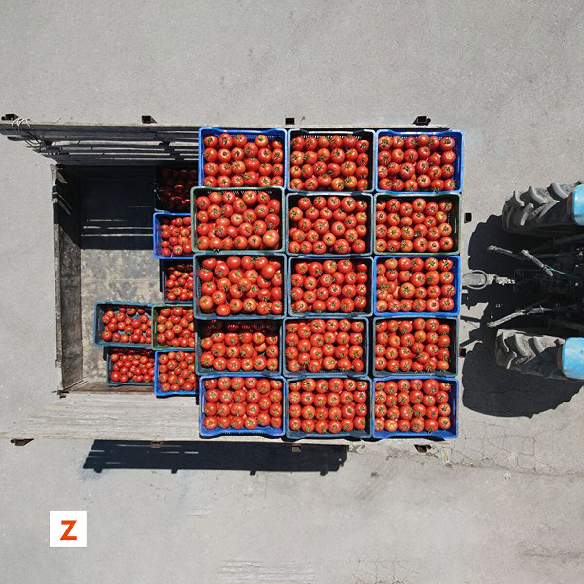 Dört ay süren hasat döneminde "iyi tarım" uygulamasıyla Söğütlü ve Gölhisarlı çiftçilerin ürettiği domatesin büyük bölümü, Rusya ile Balkan, Arap ve Kafkas ülkelerine ihraç ediliyor.