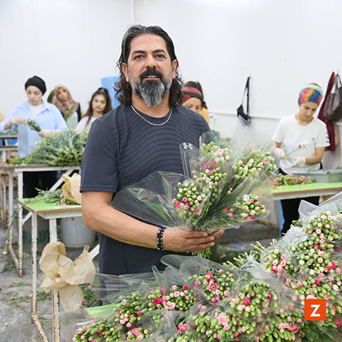 Antalya'daki seralarda hasat dönemi kasım ayında başlayacak.