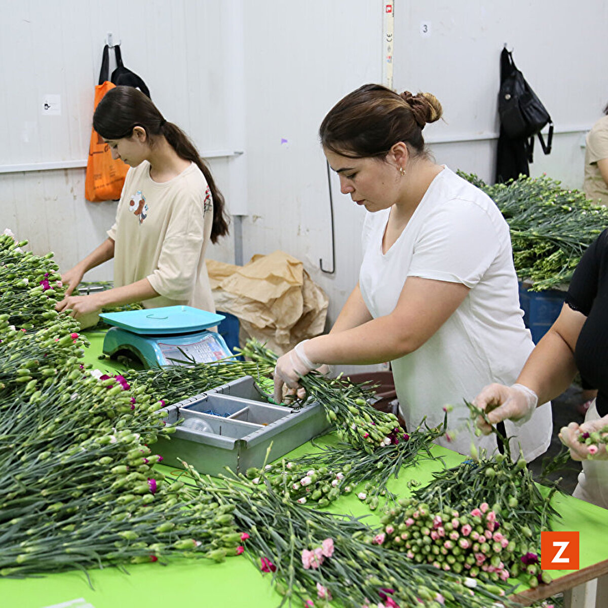 İşçiler yoğun bir mesaide.
