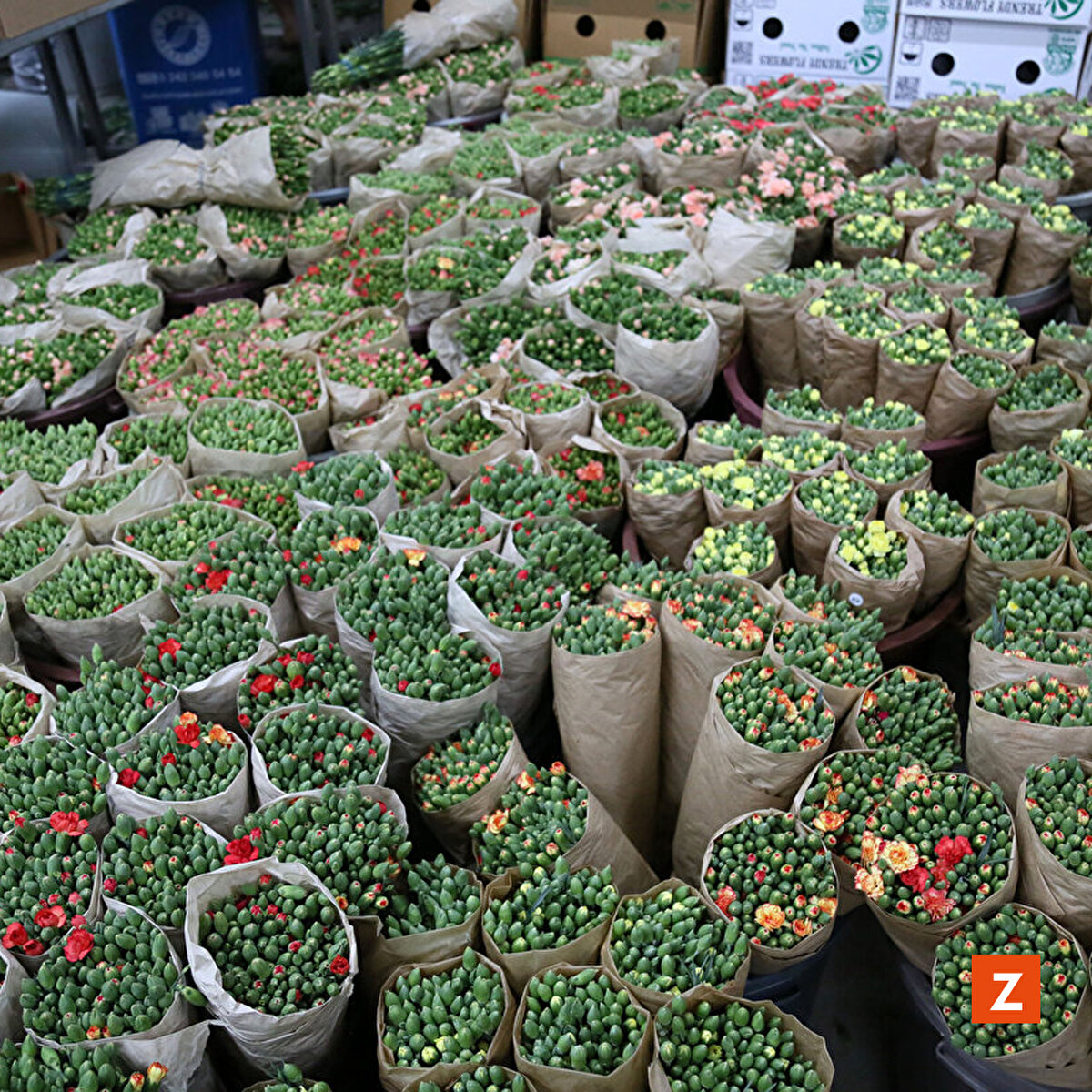 Bu nedenle siparişlerin tamamının karşılanamayacağı öğrenildi.