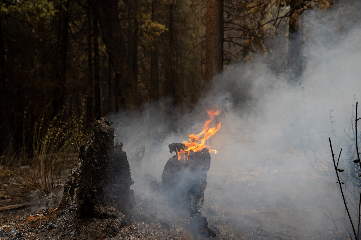Garner, eşini, kızkardeşinin evine bıraktığını kendisinin de burada kaldığını aktararak, aracının su pompasının arızalandığını ve onu tamir etmeye çalıştığını, kedisini de kaybettiğini söyledi.<br><br>