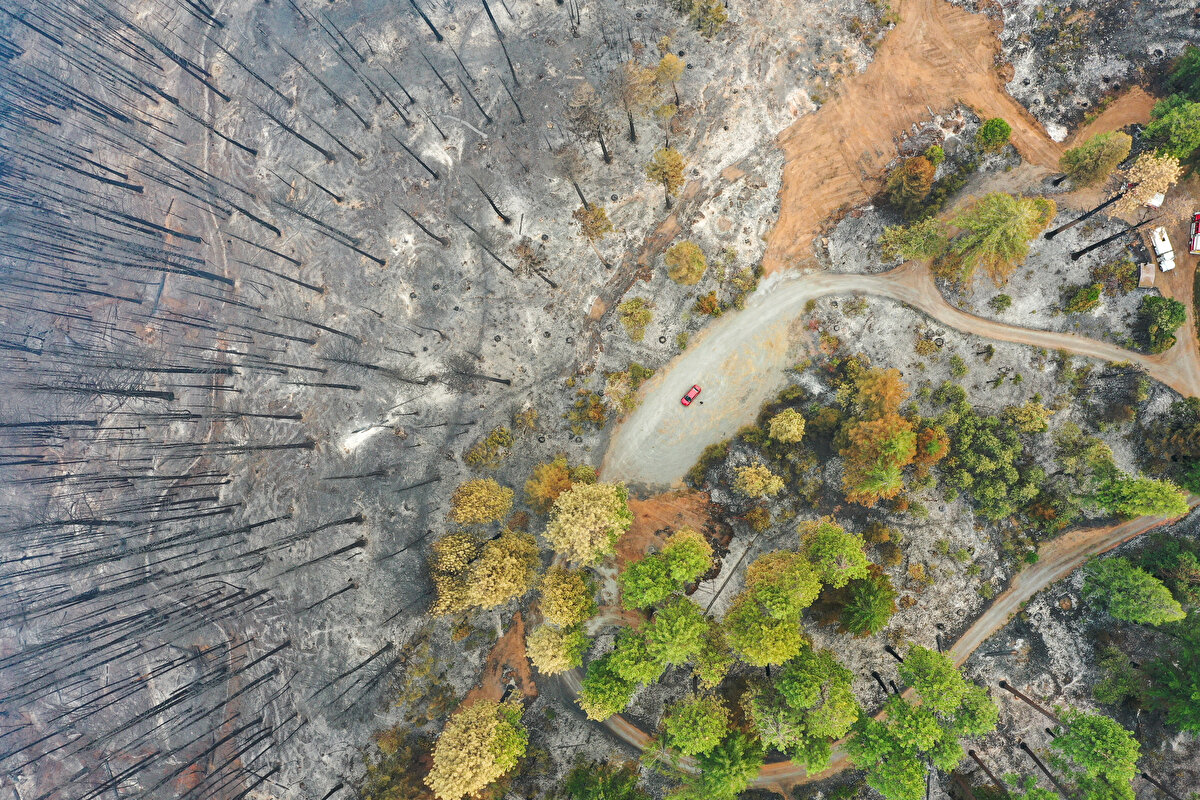 Yangının sadece yüzde 10'nun şu ana kadar kontrol altına alınabildiği bilgisi California Orman Yangınları Ajansından paylaşılırken, yangının yayılarak bölgedeki diğer kasabaları da etkileyeceği kaydedildi.<br><br>