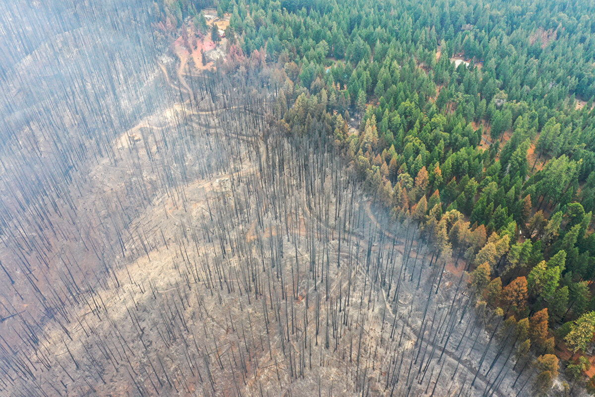 Tahliye edilenlerden Derick Jones isimli bölge sakini kaldığı Sierra Koleji'nde, yangına ilişkin AA muhabirine konuştu.<br><br>