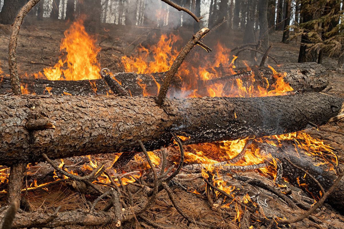 Donald Garner adlı bölge sakini ise 14 yıldır orada olduğunu ve daha önce böyle bir felaket görmediğini kaydetti.<br>