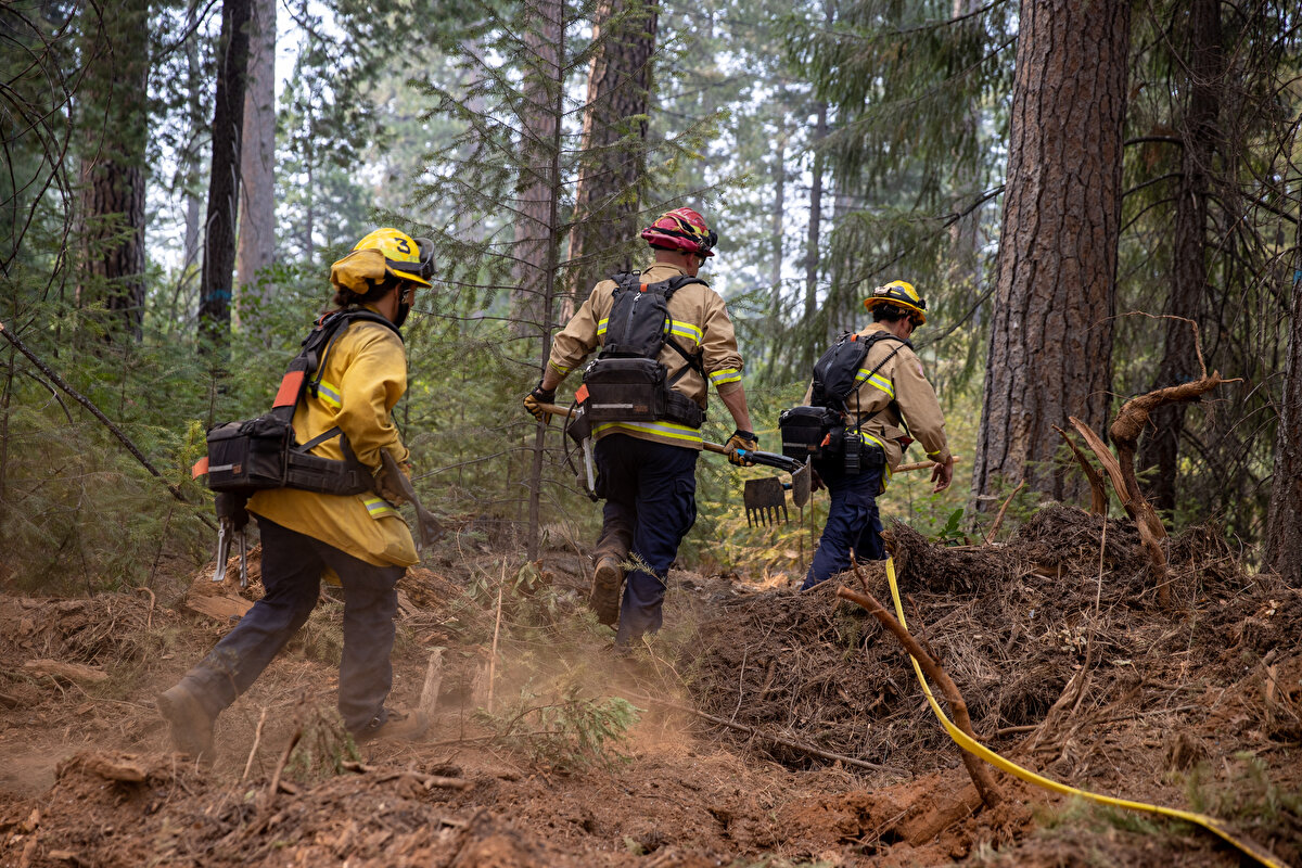 ABD'nin California eyaletinin Placer ve El Dorado kasabalarının yakınında 6 Eylül’de başlayan orman yangını, 16 bin 500 hektardan fazla alanı küle çevirirken bölgede 11 binden fazla kişinin evlerini terk etmesine neden oldu.