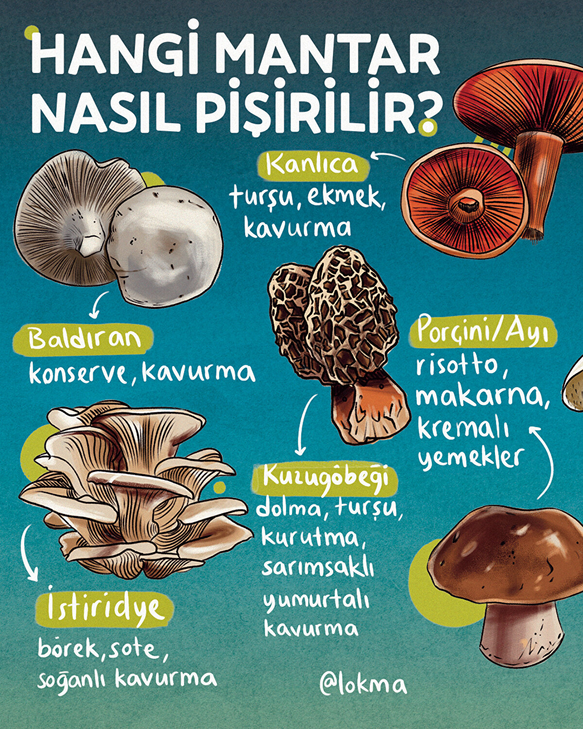 Hangi mantar nasıl pişirilir?