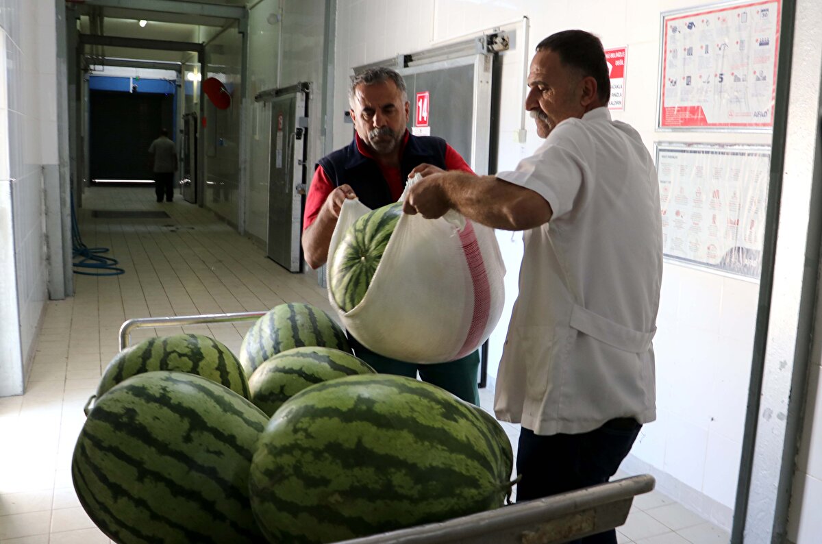 Çiftçi, Tarım ve Orman İl Müdürlüğü ile düzenleyecekleri festivalde, kortej yürüyüşü, konser, geleneksel yarışmalar yapılacağını, karpuz yarışmasında ilk 3`e giren üreticilere ödül verileceğini kaydetti.<br>