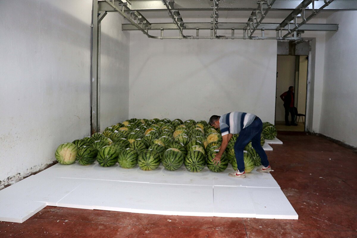"Diyarbakır artık terörle değil bu güzel aktivitelerle anılıyor." diyen Aydın, yetiştiricilere gübre ve tohum desteğinde bulunan Büyükşehir Belediyesi ile Tarım ve Orman İl Müdürlüğüne teşekkür etti.<br>