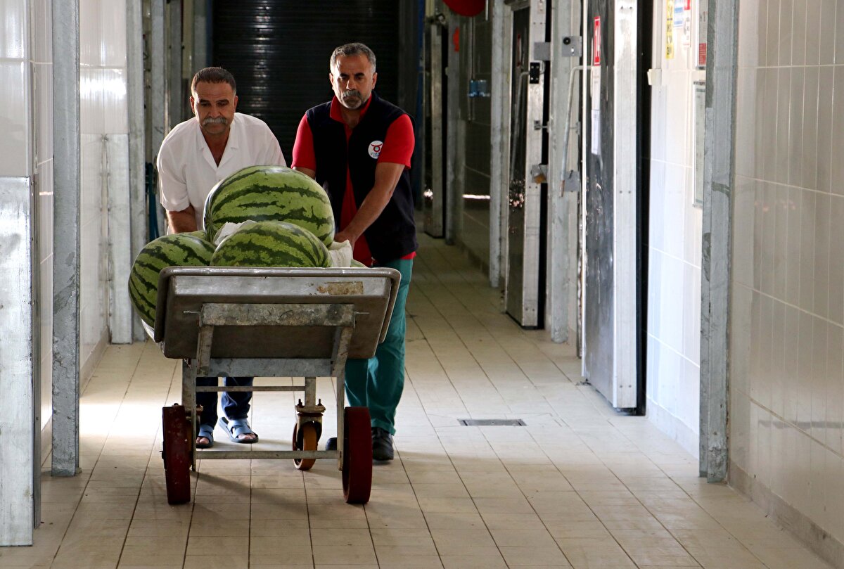 Diyarbakır karpuzunun ağırlık bakımından Türkiye`nin en büyük karpuzu olduğunu dile getiren Çiftçi, şöyle devam etti: "Karpuz Diyarbakır için çok özel bir ürün, özel bir değer. Festival ile üreticilerimizi destekleyeceğiz. Bu ürünün gelecek nesillere aktarılması için üreticilere destekte bulunacağız. Festivalde, 30 kilogram üzerindeki 137 karpuz yarışmaya dahil edildi. Karpuz yarışmasında birinciye 10 bin lira ve 1 tam altın, ikinciye 7 bin 500 lira ve yarım altın, üçüncüye de 5 bin lira ve çeyrek altın verilecek."<br>