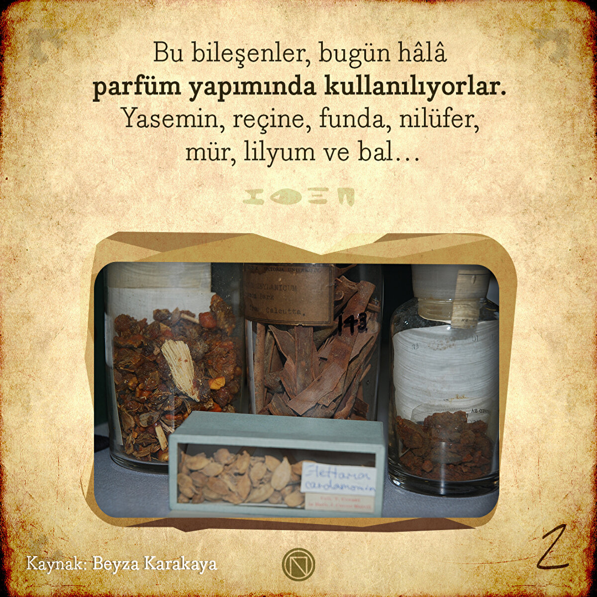 Bu bileşenler, bugün hâlâ parfüm yapımında kullanılıyorlar. Yasemin, reçine, funda, nilüfer, mür, lilyum ve bal…