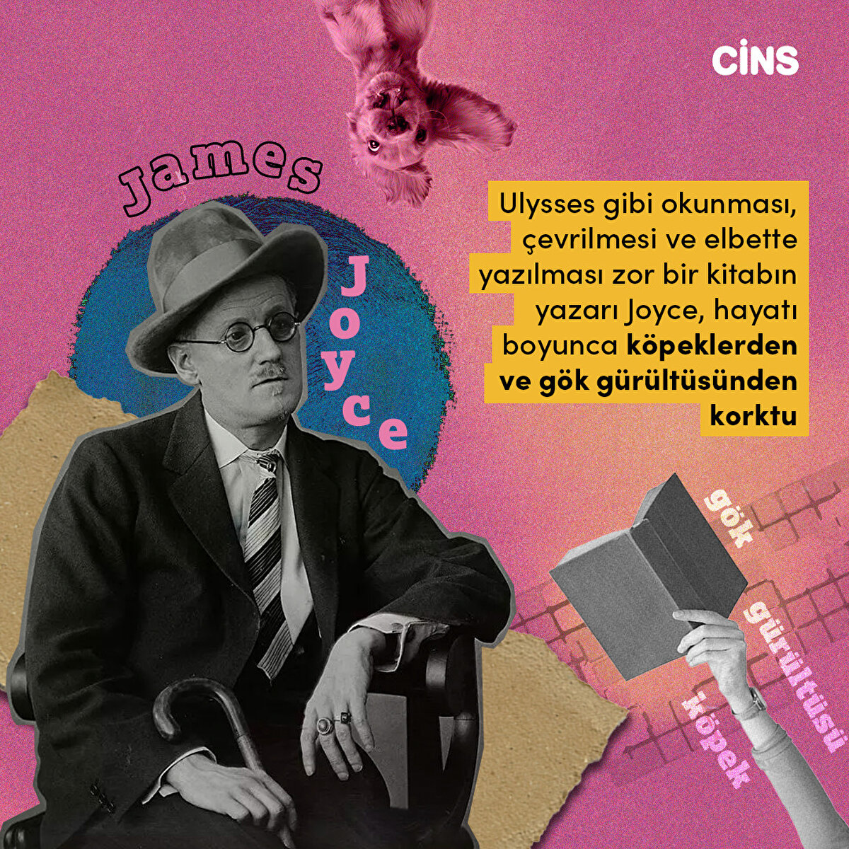 Ulysses gibi hacimli bir kitabın yazarını neler korkutabilir?