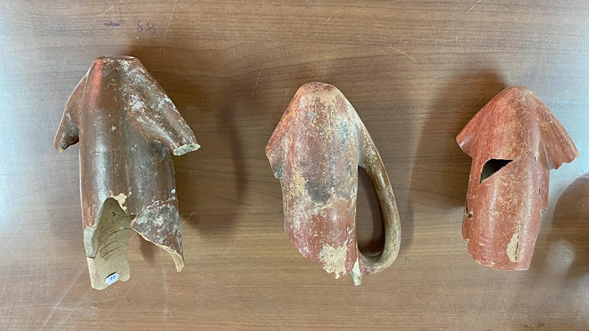 Öte yandan Küllüoba Höyüğü'ndeki arkeolojik kazılarda, 4 bin 500 yıl önce içinde ağrı kesici ilaç saklandığı belirlenen kaplara ilişkin detaylı bilimsel çalışma, uluslararası hakemli dergide de yayımlandı.