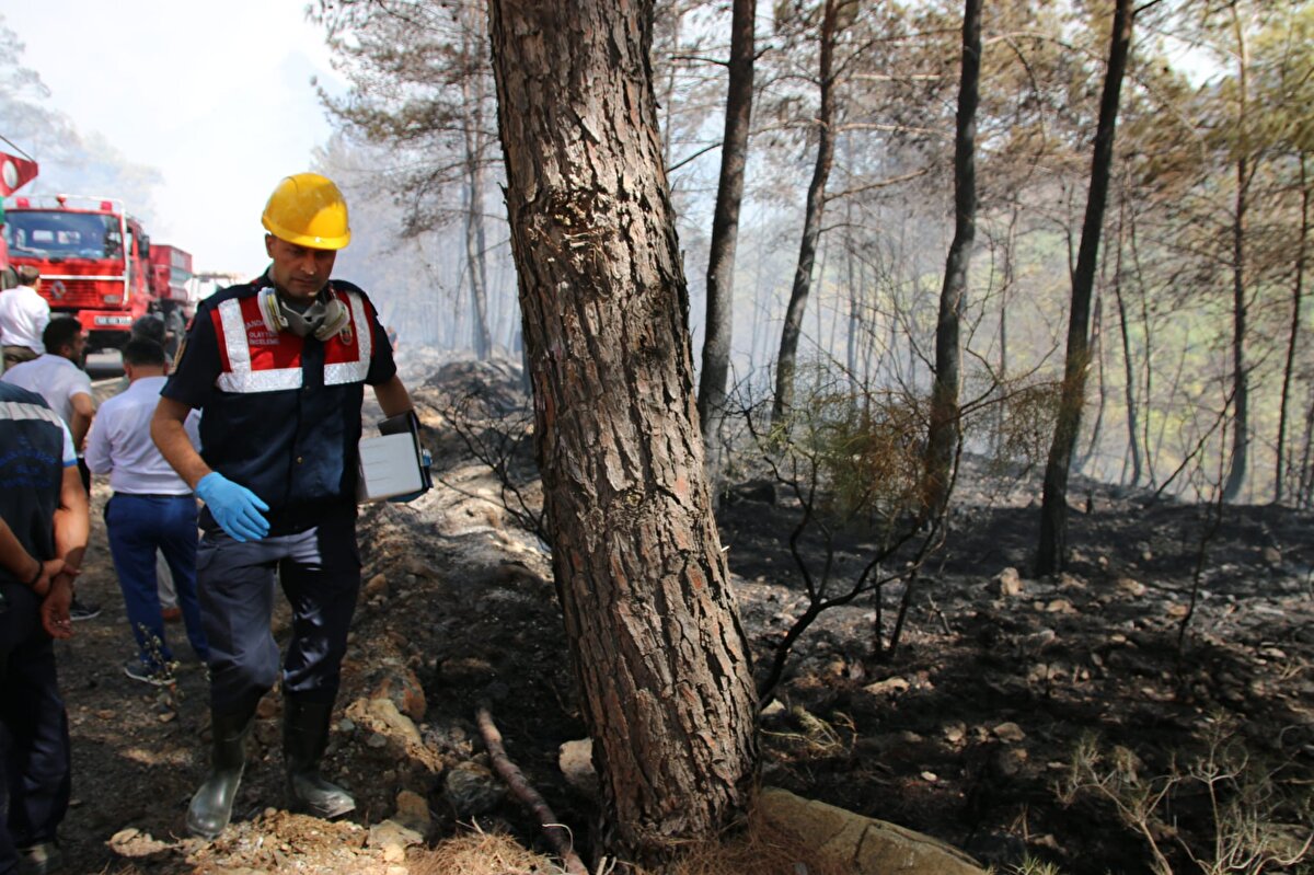 AFAD Twitter hesabından yaptığı paylaşımda “Yangın bölgesinde tüm tedbirler alınmış olup, söndürme çalışmaları aralıksız devam etmektedir. Çalışmalarda, 14 uçak 34 helikopter, 332 araç ve 1457 personel görev almakta olup, çevre illerden ekip ve iş makinesi takviyesi yapılmıştır. 5 personel ile 1 vatandaşımız yangından etkilenmiş olup, tedavileri tamamlanarak taburcu edilmiştir. Bölgeye 1 AFAD Mobil Koordinasyon Tırı görevlendirilmiştir. Alınan tedbirler çerçevesinde şu an için yangın yerleşim yerlerini tehdit etmemektedir. Gelişmeleri takip ediyoruz” ifadelerine yer verdi.<br><br>