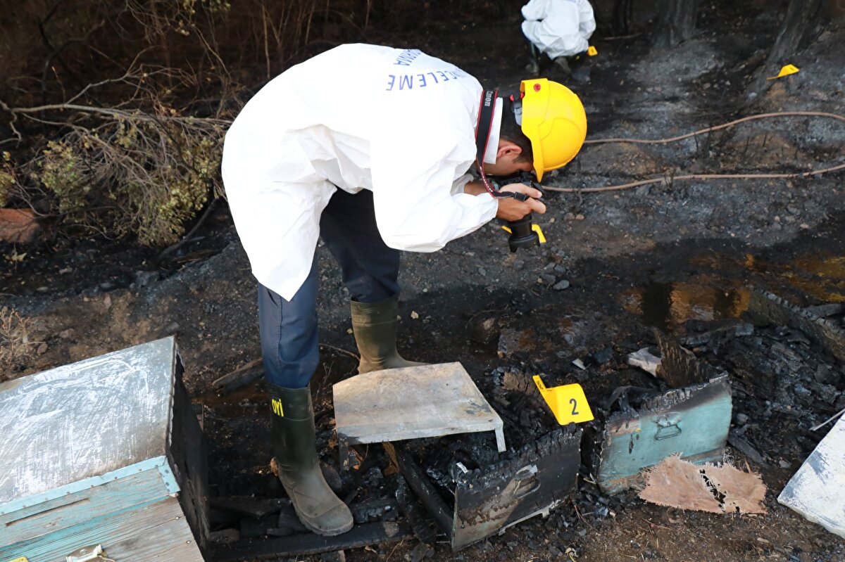 Bu arada yangınla ilgili bölgede arıcılık yapan 85 yaşındaki M.Y. gözaltına alındı.<br><br>