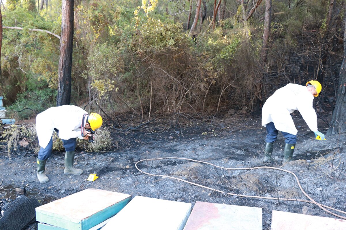 Marmaris Cumhuriyet Başsavcılığı'ndan yapılan açıklamada şu ifadelere yer verildi:<br><br>''Yangınla ilgili yapılan araştırmalar neticesinde M.Y. isimli şahsa ait arı kovanlarının yaklaşık yarım metre ön tarafında yanmış ateş közleri olduğu, arı kovanlarının ormana bitişik olduğu, yangının başladığı noktada herhangi bir elektrik kablosunun geçmediği belirlendi.