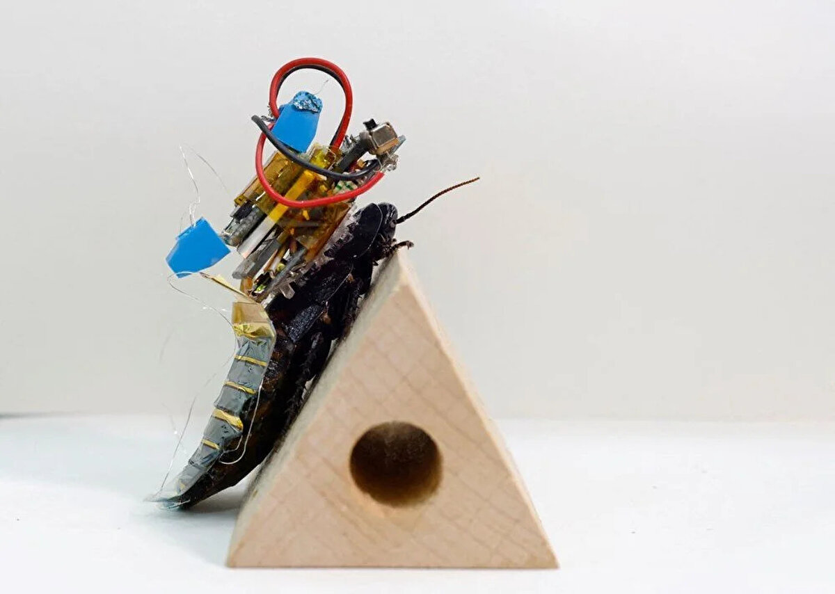 Aynı boydaki bir robotun üzerindeki pilin, böceğin üzerindekine göre çok daha kısa sürede bittiğine dikkat çekiliyor.<br><br>