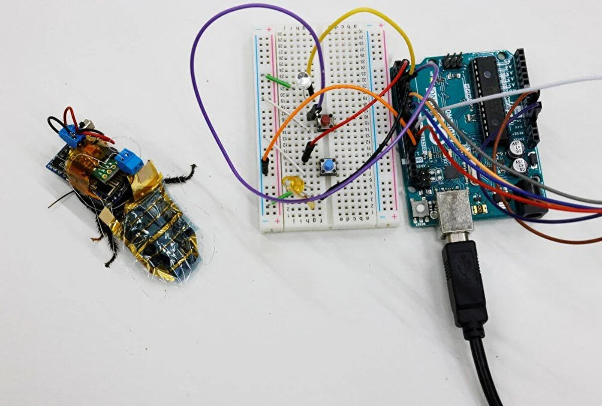 Bluetooth üzerinden gönderilen sinyalle böceğin hareket etmesi sağlanıyor.<br><br>