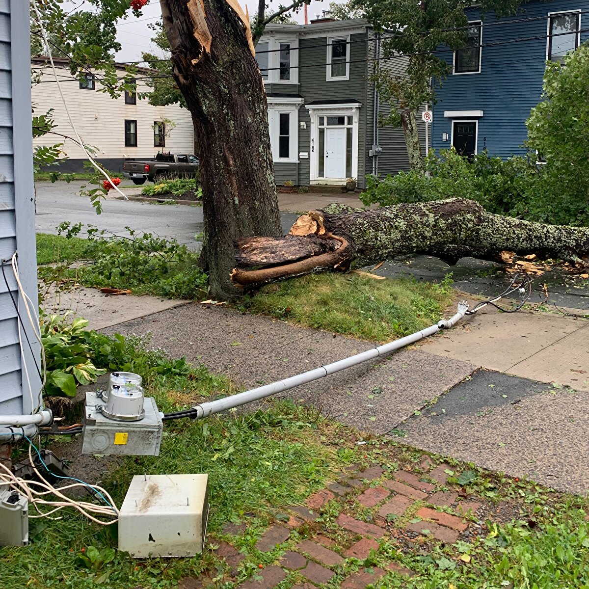 FİLİPİNLER'DE NORU <br>En şiddetli fırtınanın Kategori 5 olduğu Saffir-Simpson Ölçeğinde Filipinler, yer yer Kategori 5 şiddetine ulaşacak 'Noru süper tayfununa' hazırlandı. Ülkenin ana adalarından biri olan Luzon'a saatte 195 km/h ile gelen Noru için kıyı şeridindeki yerleşim alanlarının tahliyesi başlamıştı. Noru'nun bugün ülkede etkili olması bekleniyor.