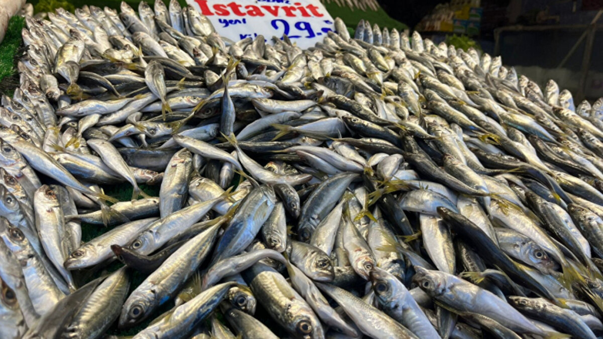ELLE MÜDAHALE YAPMAYIN<br><br>Kişilerin kendi yöntemleriyle ve elle müdahale ile çıkarmaya çalışmasının tehlikeli olduğunu söyleyebiliriz. Boğaza bağlı bir bölüme battığında doktor tarafından çıkarılması basit bir işlemdir. Bu nedenle kişinin kılçığı elle çıkarmaya çalışması doğru değil. Doktor kılçığın nereye battığını endoskopi ile görebilir. Nerede olduğu tespit edilip çeşitli yöntemlerle çıkarılabiliyor. Burada önemli olan ise kılçığın veya herhangi bir yabancı cismin kesinlikle uzman bir KBB doktoru tarafından görülmesinin gerekliliğidir.