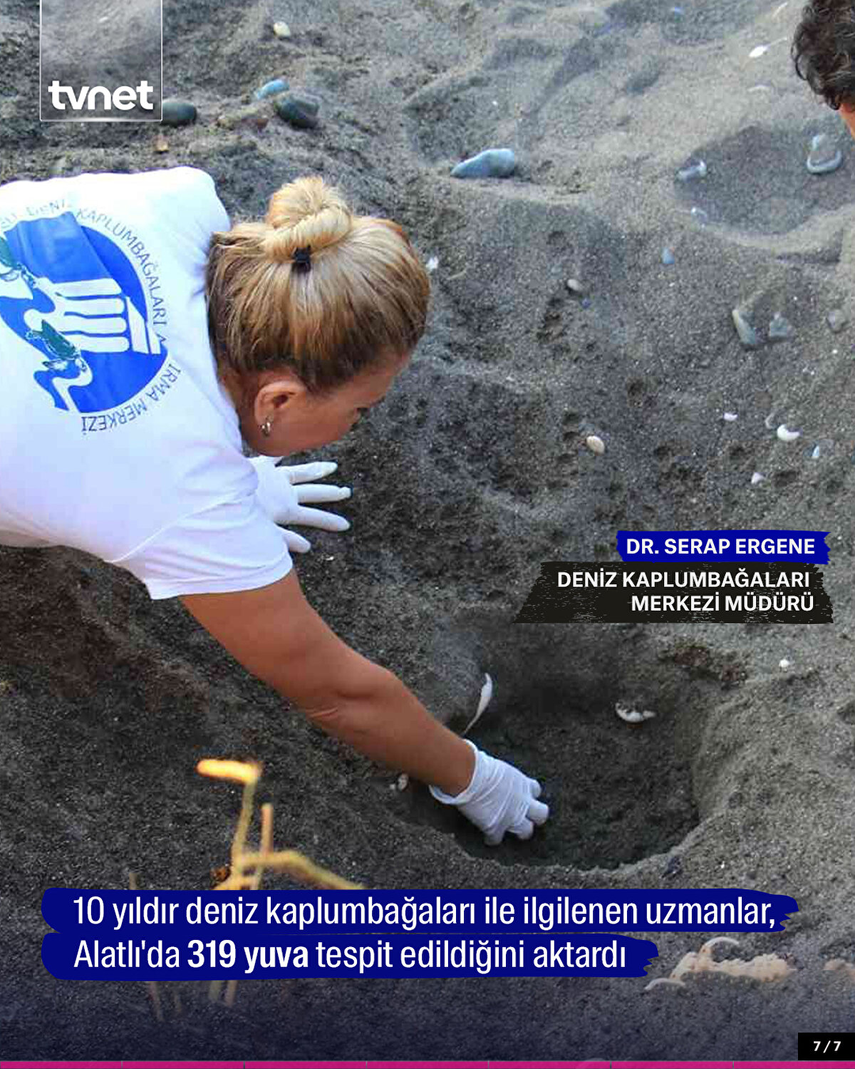 10 yıldır deniz kaplumbağaları ile ilgilenen uzmanlar, Alatlı'da 319 yuva tespit edildiğini aktardı