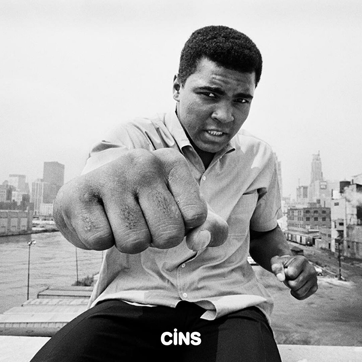 Muhammed Ali varsa yumruklar da konuşacak