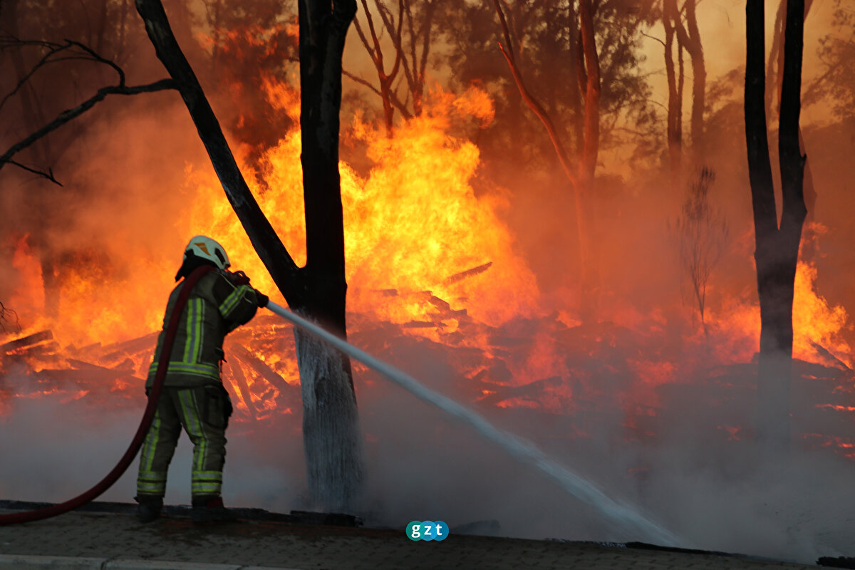 19 Haziran 2022'de İzmir'in Çiğli ilçesinde Doğal Yaşam Parkı'nın yakınındaki ağaçlık alanda çıkan yangını İzmir İtfaiyesi ve Çiğli Belediyesi ekipleri ile Orman Bölge Müdürlüğüne bağlı 2 helikopter büyümeden kontrol altına almıştı