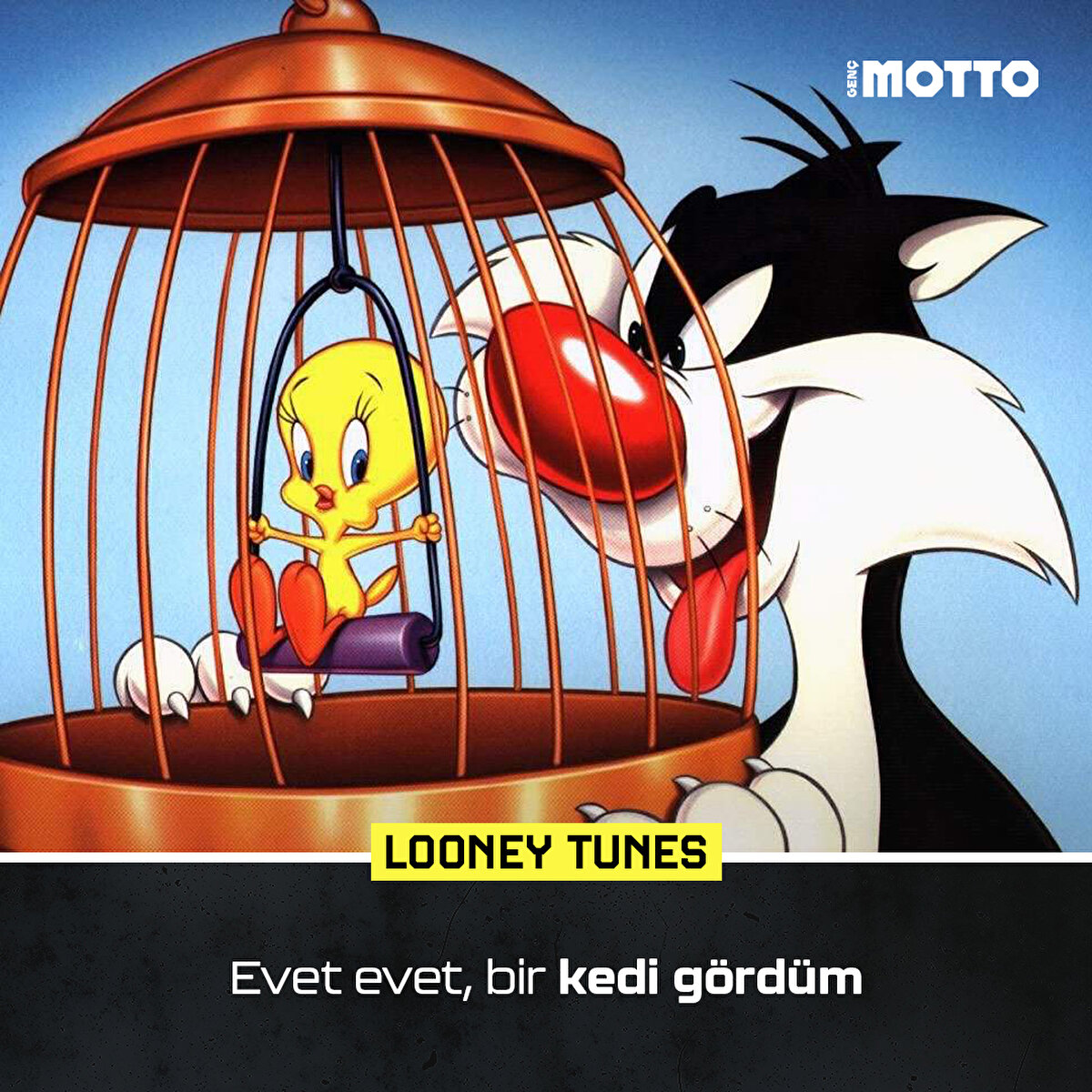 Evet evet, bir kedi g&#246;rd&#252;m (Looney Tunes)