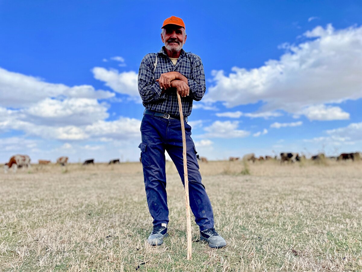 İlçenin Yeniköy Mahallesi'nde yaşayan 61 yaşındaki Mustafa Sakallı, içinde kendi hayvanlarının da olduğu 170 büyükbaşı kuruyan göl yatağında otlatıyor.<br><br>