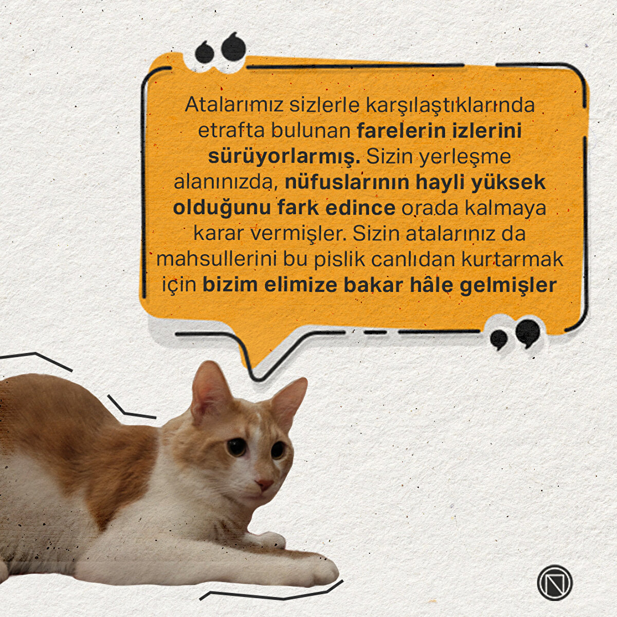 Atalarımız sizlerle karşılaştıklarında etrafta bulunan farelerin izlerini s&#252;r&#252;yorlarmış. Sizin yerleşme alanınızda, n&#252;fuslarının hayli y&#252;ksek olduğunu fark edince orada kalmaya karar vermişler. Sizin atalarınız da mahsullerini bu pislik canlıdan kurtarmak i&#231;in bizim elimize bakar h&#226;le gelmişler