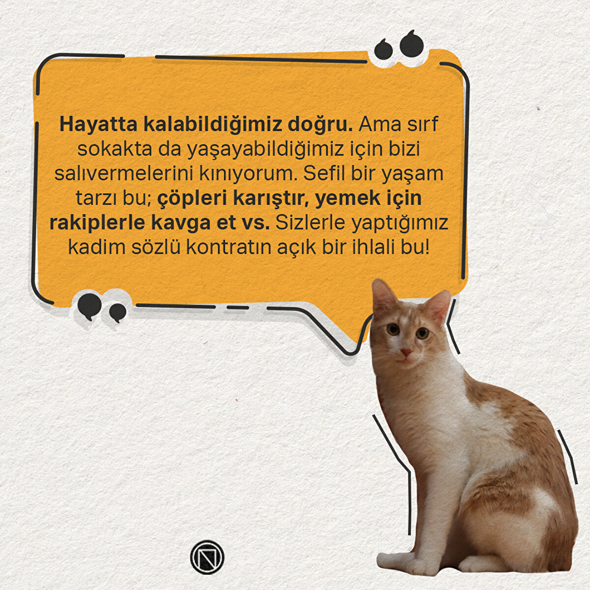 Hayatta kalabildiğimiz doğru. Ama sırf sokakta da yaşayabildiğimiz i&#231;in bizi salıvermelerini kınıyorum. Sefil bir yaşam tarzı bu; &#231;&#246;pleri karıştır, yemek i&#231;in rakiplerle kavga et vs. Sizlerle yaptığımız kadim s&#246;zl&#252; kontratın a&#231;ık bir ihlali bu!