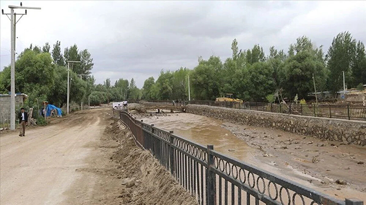 Üstelik bazıların sayısında anormal artışlar da yaşanıyor.<br><br>Nedenini söylemek çok basit 'küresel ısınma' Ama ya çözümü?