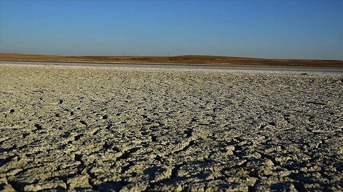 Bugün kaban yarın kısa kolu giyip kafamızı karıştıran ya da yaşadığımız yeri bir saatte su altında bırakan baskınlarla uğraşırken şimdi de daha önce hiç görmediğimiz böcekleri görmeye başladık.<br><br>