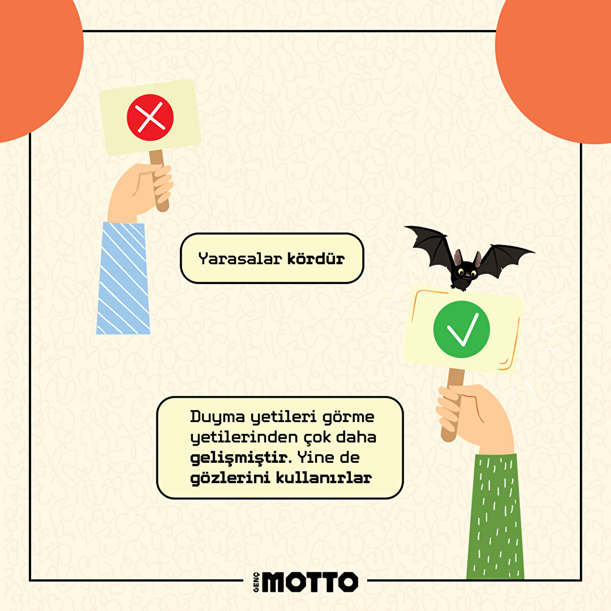 Yanlış bilinen 4 şey