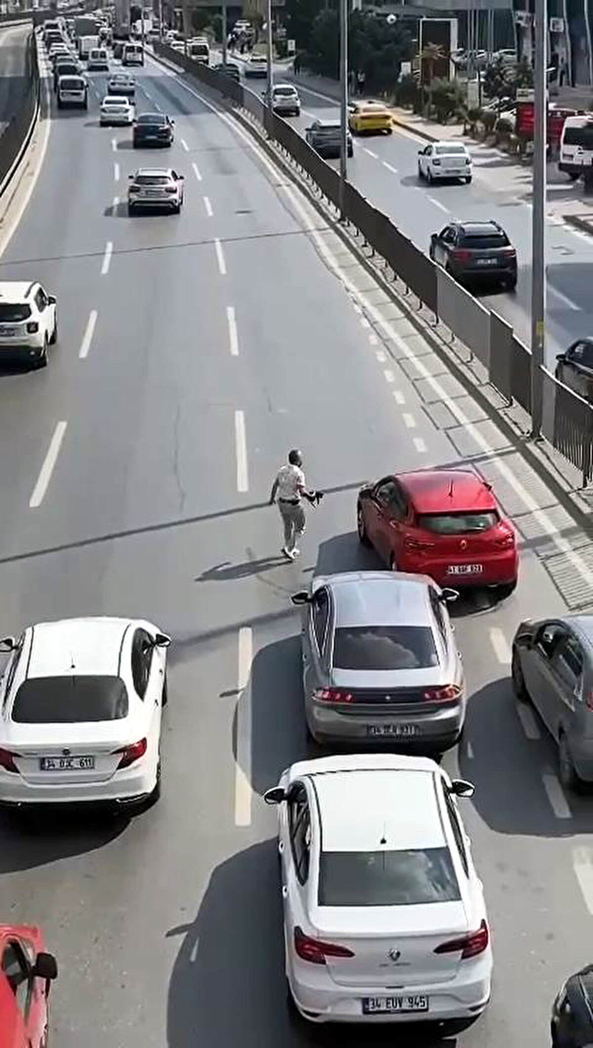 Akan trafikte bir kedinin D - 100'ün ortasında yürüdüğünü gören bir sürücü otomobilini durdurup, trafiği kesti. 