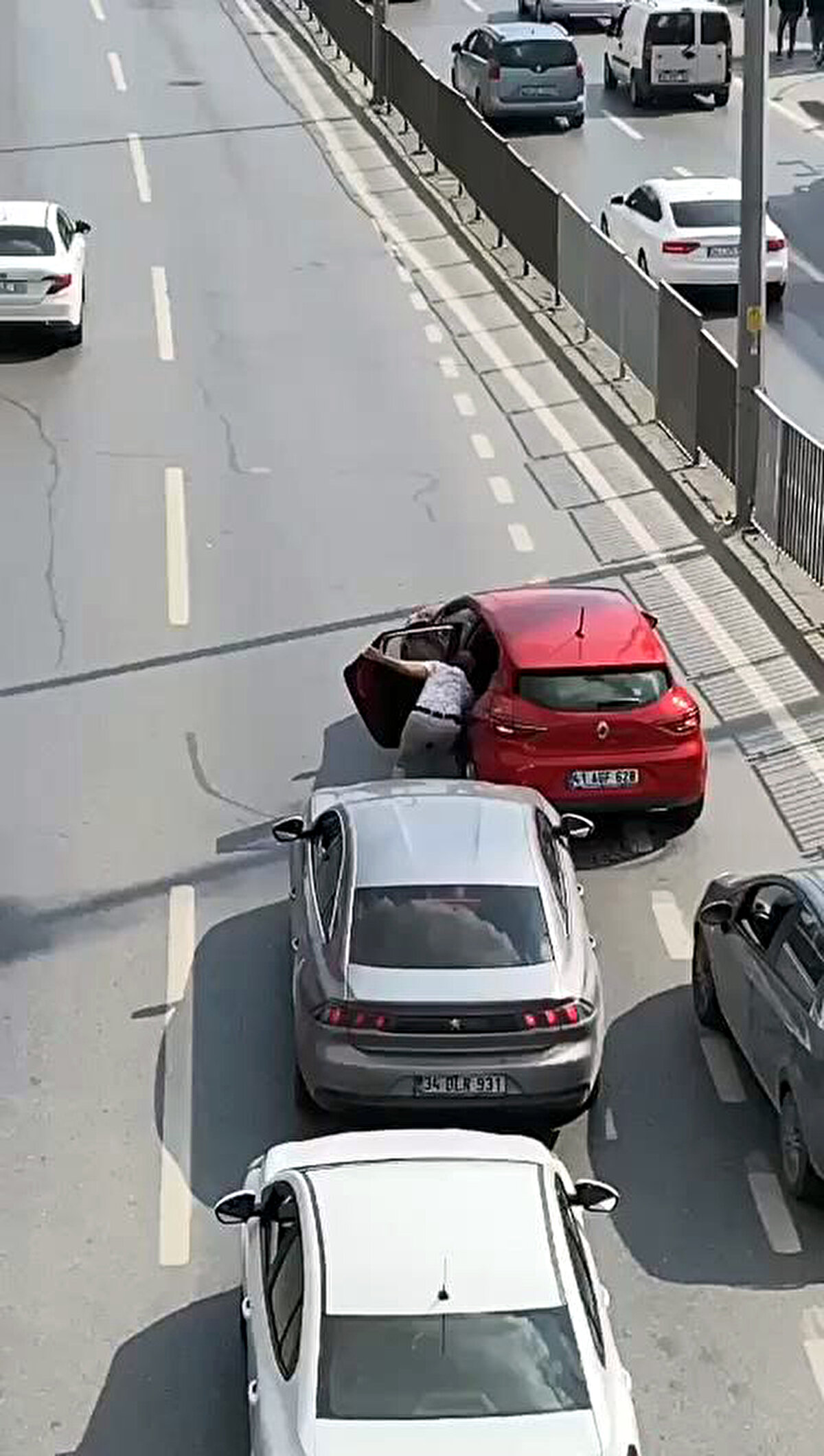 Sürücü yolun karşısına geçmeye çalışan kediyi yakalayarak otomobiline götürdü.