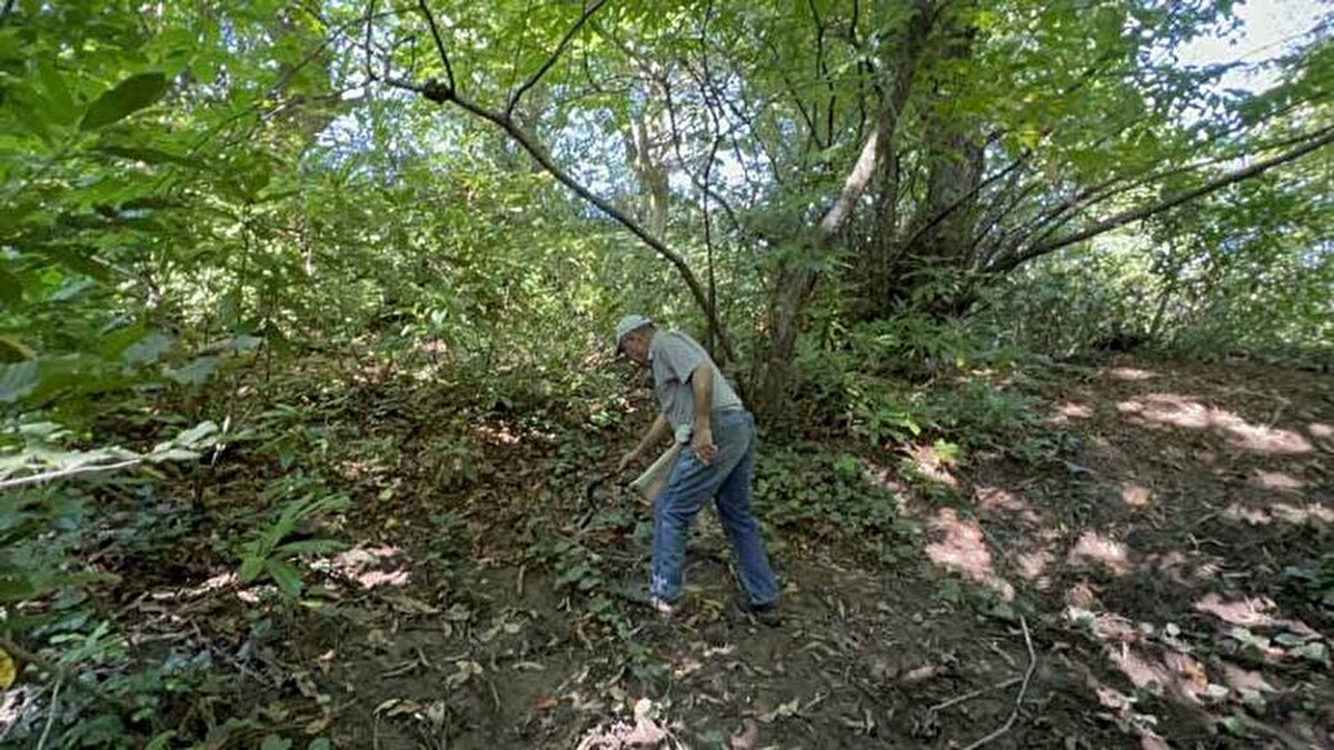 Arkadaşlarıyla kestane toplamaya gelen Mesut Karanfil de "Sabahın erken saatlerinde buraya kestane toplamaya geldik. Şu ana kadar 6 kilo kestane topladık. Yiyeceğimiz kadar kestaneyi bulmuş olduk" diye konuştu.<br>