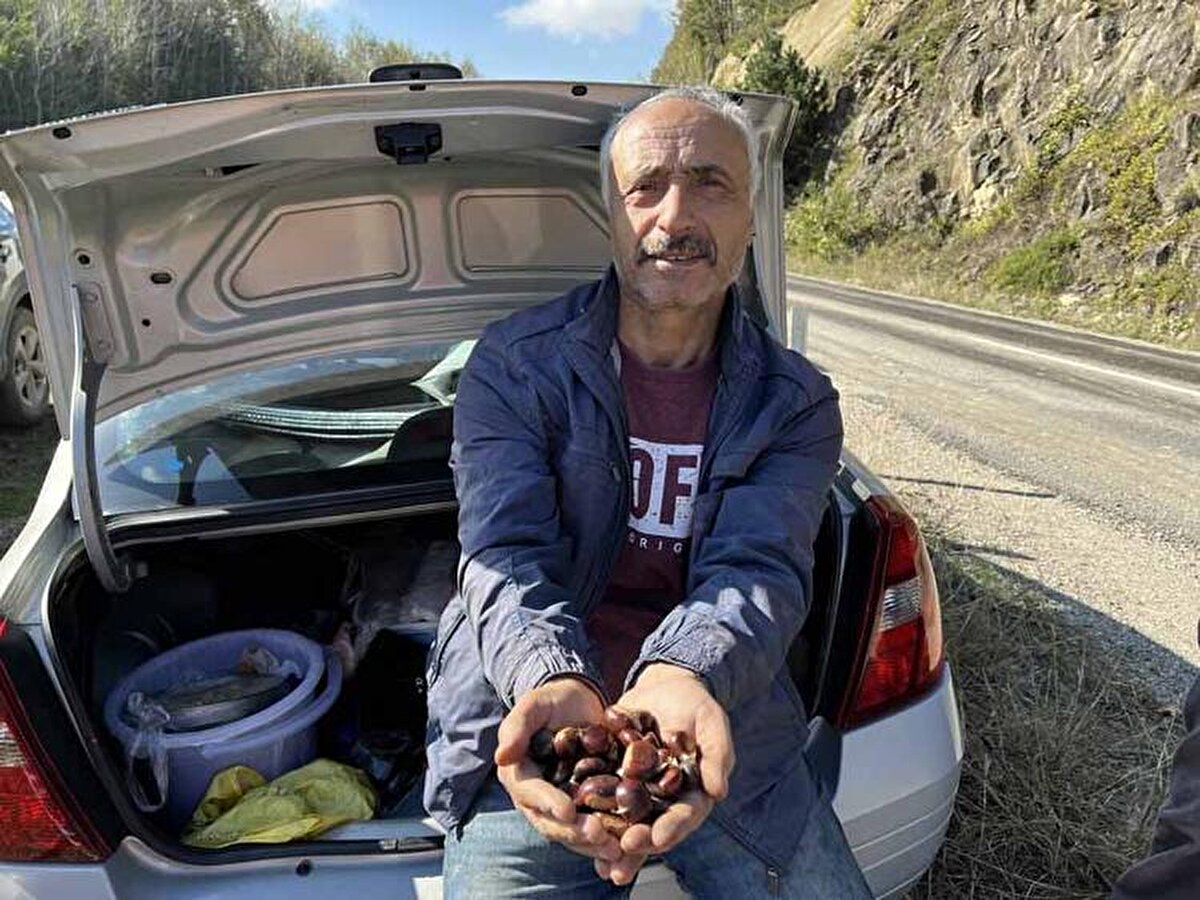 Bu sene de sabah erken saatlerden itibaren ormana gelenler, kestane toplamak için birbirleriyle yarıştı.