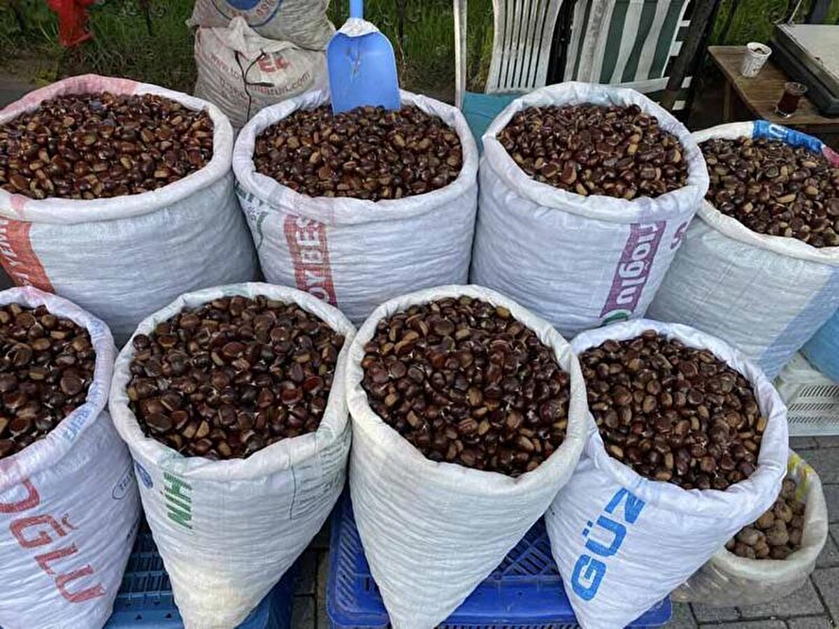  Kimileri yemek için toplarken kimileri de pazarda satıp gelir elde etmeye çalışıyor. Kestane toplayanların yol kenarına park ettikleri araçlarıyla ise uzun kuyruklar oluştu.<br>