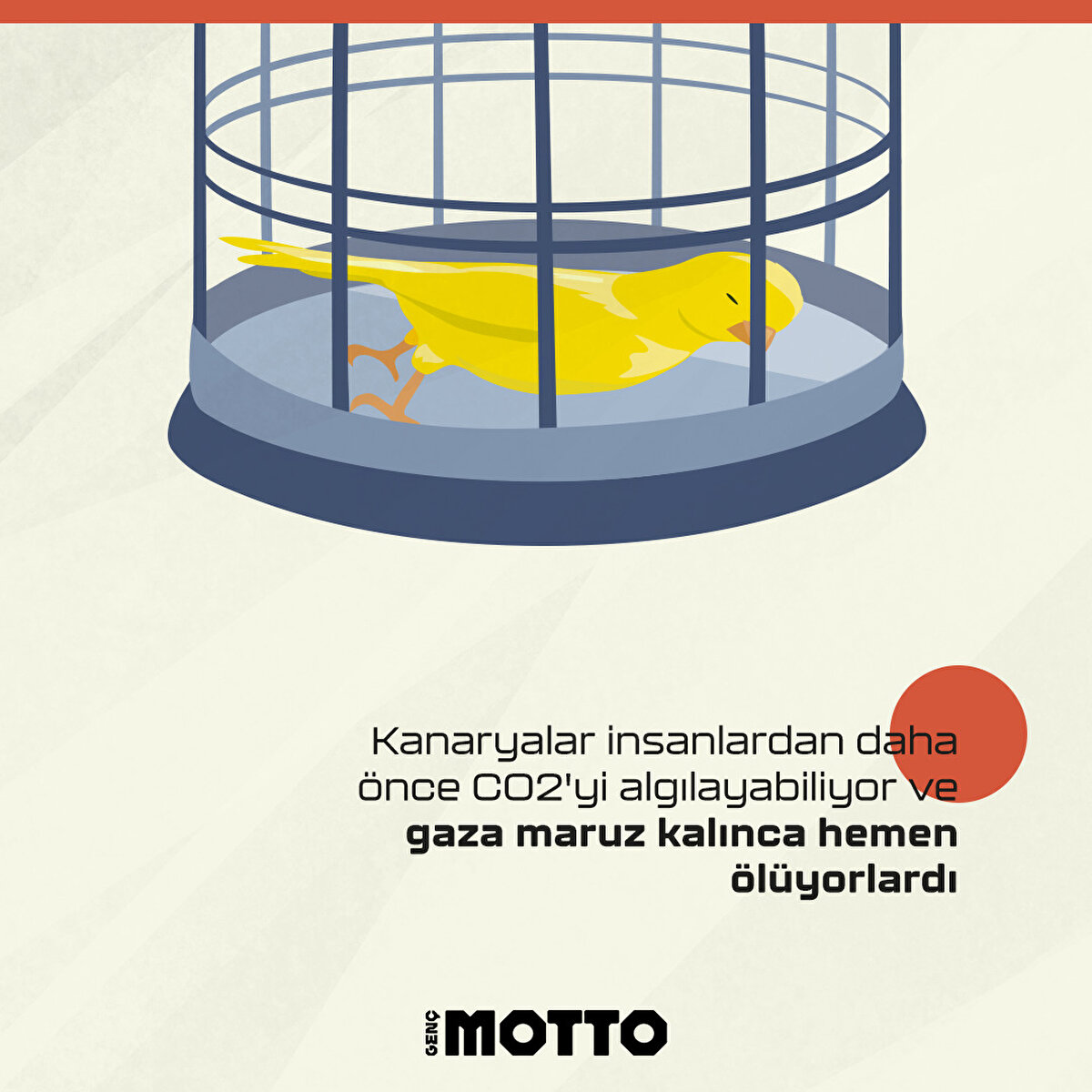 Kanaryalar insanlardan daha &#246;nce CO2'yi algılayabiliyor ve gaza maruz kalınca hemen &#246;l&#252;yorlardı 