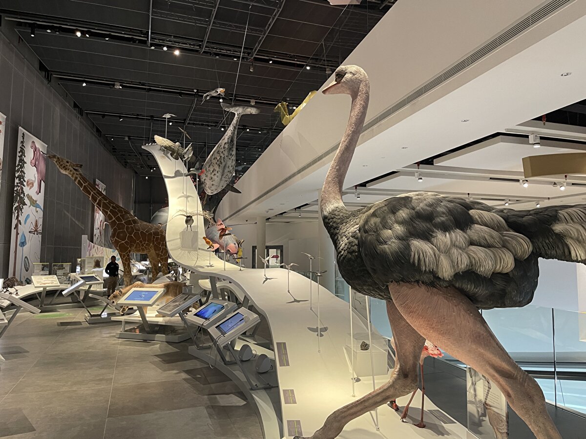 Merkezin faaliyetleri toplumun tüm kesimlerini ve farklı yaş gruplarının ilgilerini çekmeyi amaçlıyor. Ayrıca merkezde eğlenceli etkinliklerin yanı sıra çocuklara yönelik resim atölyeleri ve hayvan gözlemleri gibi etkinlikler de düzenleniyor.