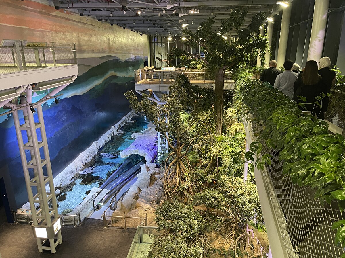 Müzeler, 13 ülkeden alanında uzman 100'e yakın kuruluş tarafından hazırlanan, binden fazla parçanın sergilendiği 22 salonuyla merkezin en belirgin alanlarını oluşturuyor.<br>Şeyh Abdullah Es-Salim Merkezi'nde "Ekosistem", "Doğa Tarihi", "Bilim ve Teknoloji", "İnsan Vücudu", "Arapça ve İslami İlimler" ve "Uzay" müzeleri bulunuyor.